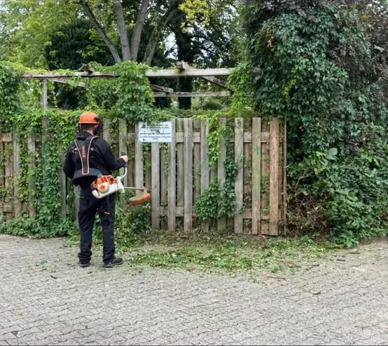 Grundstückspflege – Wildkrautbeseitigung mit Freischneider