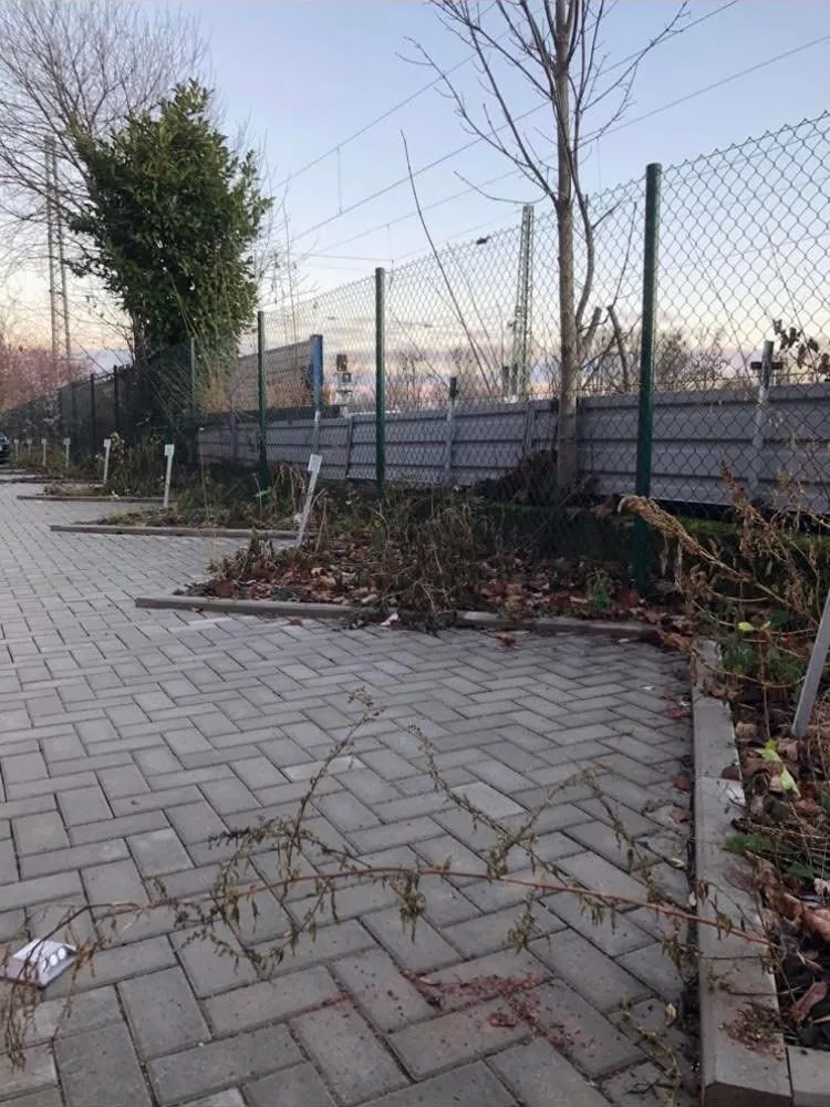 Garten- und Grundstückspflege vorher – verwilderte Grünfläche